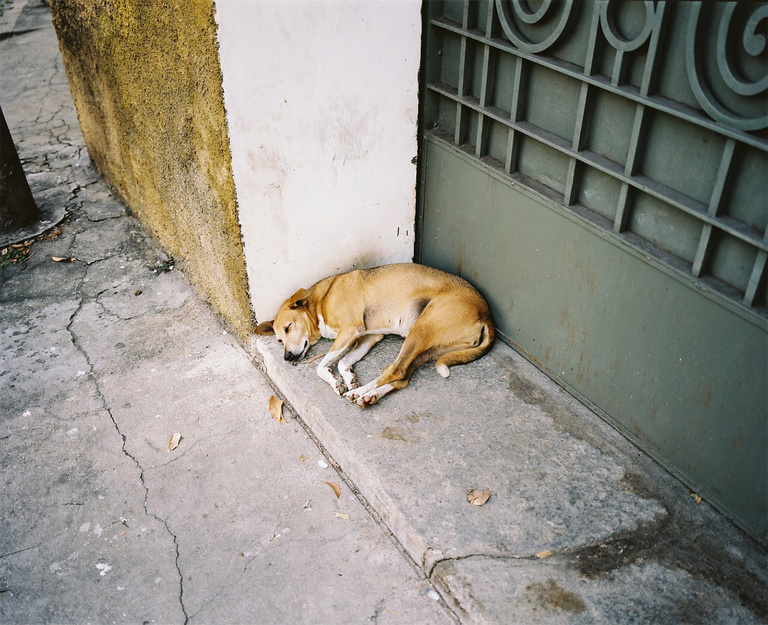 Olivier Riquet - Semana Santa - Santa Teresa, Rio de Janeiro, Brasil