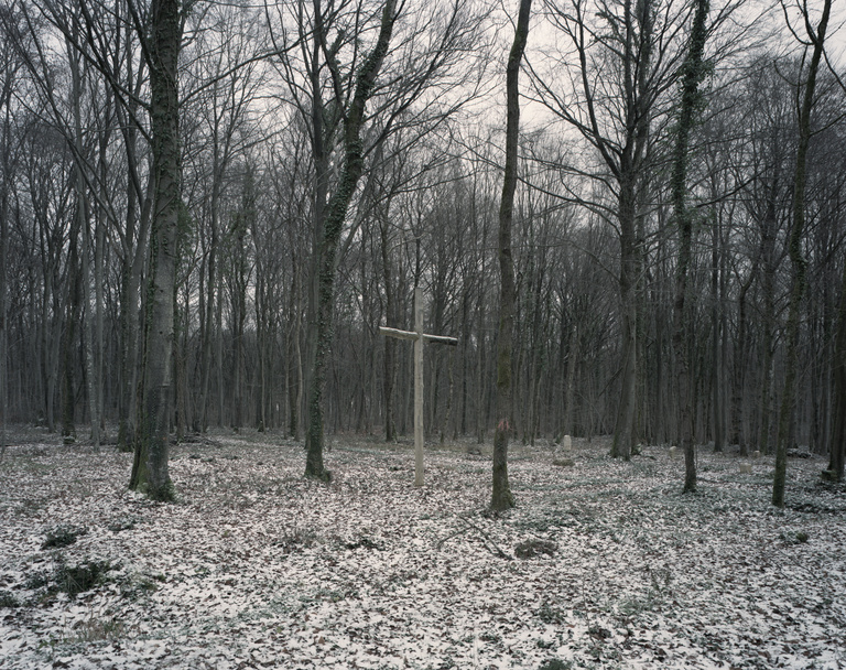 Olivier Riquet - Ruins II - Forêt Domaniale de Verdun, Meuse, France